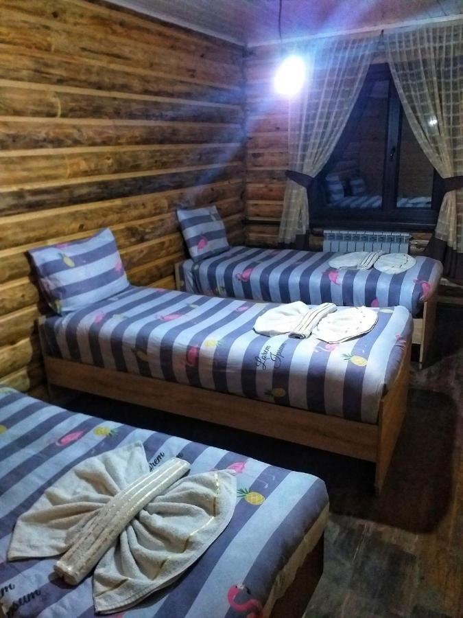 Altyn Arashan Guesthouse Dış mekan fotoğraf